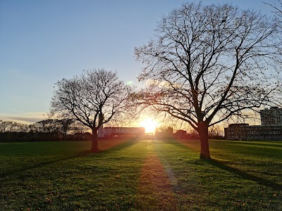 Central Park (Dagenham)